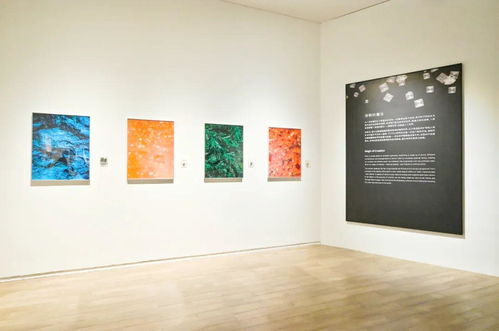 奇觀 科學藝術(shù)展在光明文化藝術(shù)中心美術(shù)館開幕